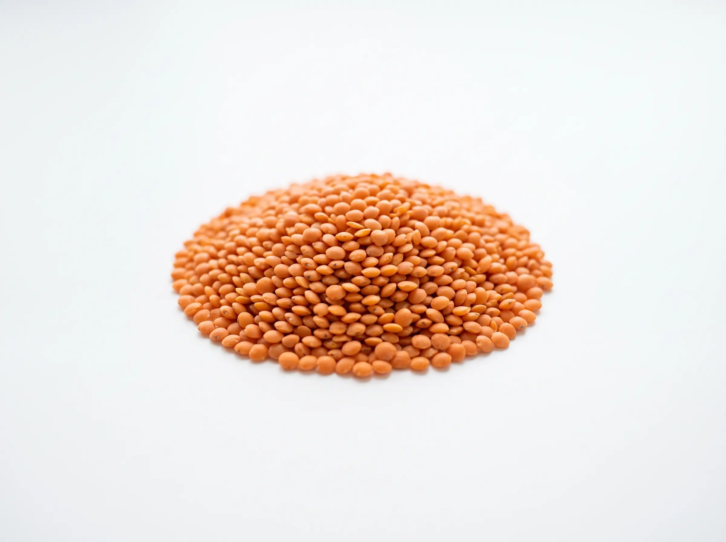 Mysoor Dhal