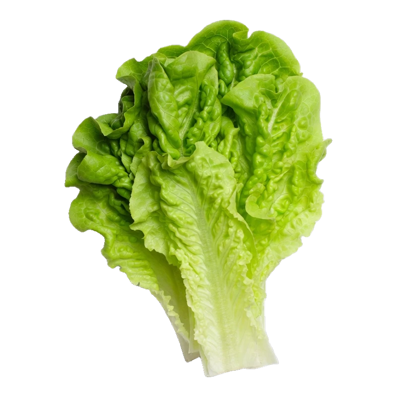 Salad leaves, washed and patted dry